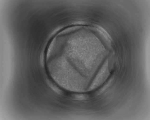 X0000113290439200910051104