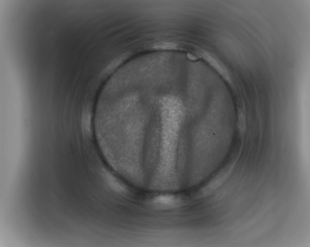 X0000113290441200910051104