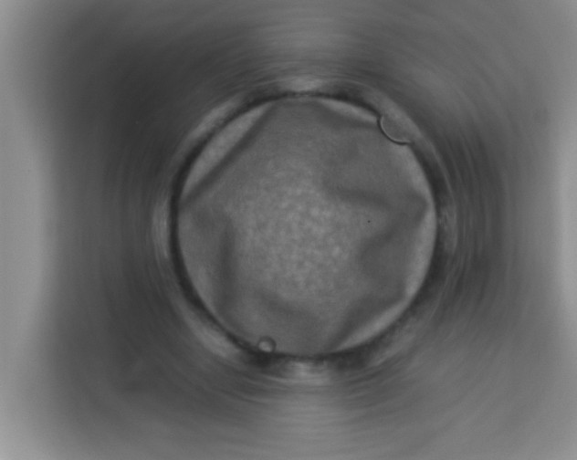 X0000113290442200910051104