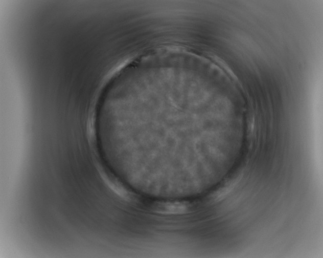 X0000113290443200910051104