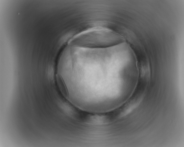 X0000113290444200910051104