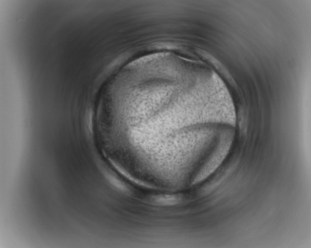 X0000113290445200910051104