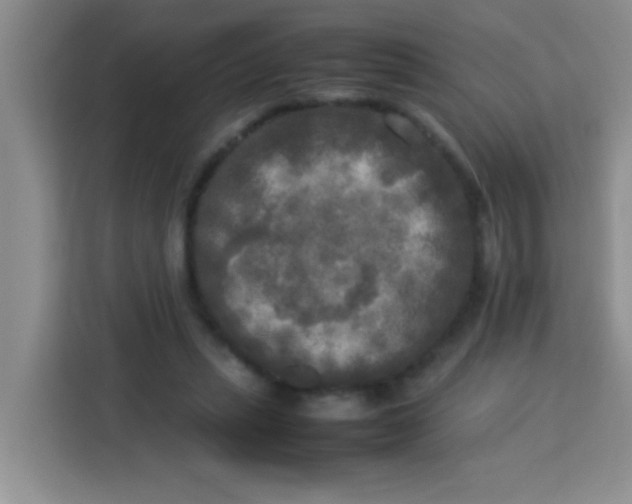 X0000113290447200910051104