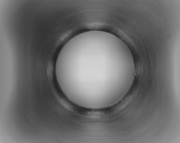 X0000113290448200910051104
