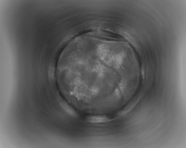 X0000113290449200910051104