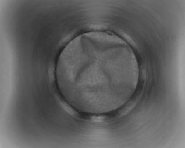 X0000113290450200910051104