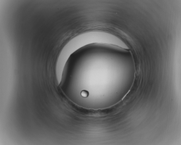 X0000113290452200910051104