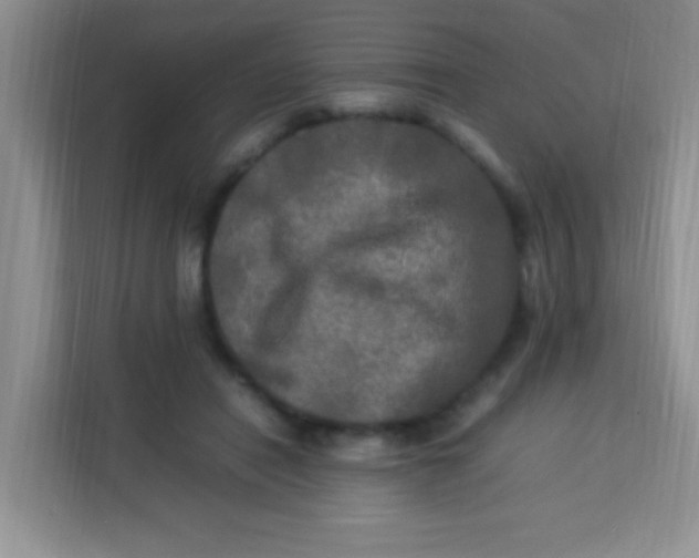 X0000113290454200910051104