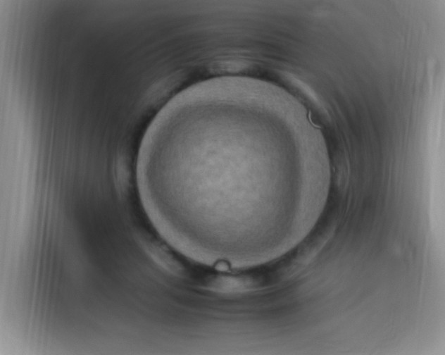 X0000113290455200910051104