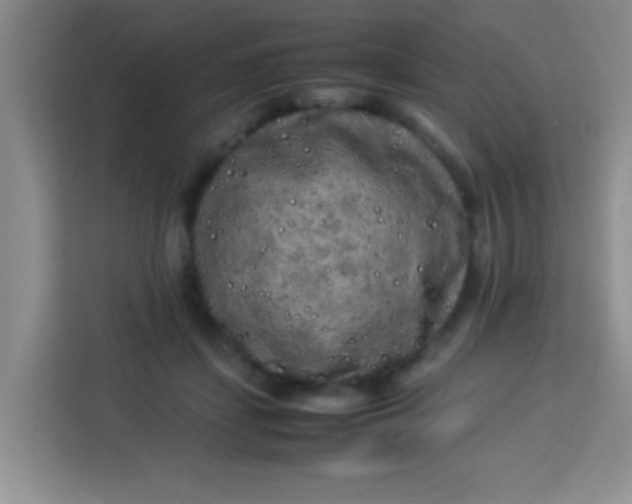 X0000113290459200910051104