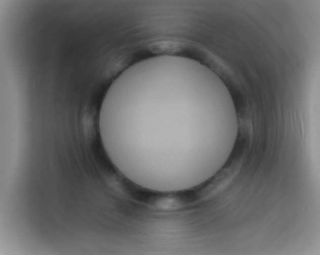 X0000113290460200910051104