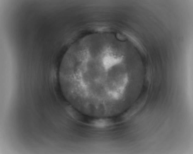 X0000113290461200910051104