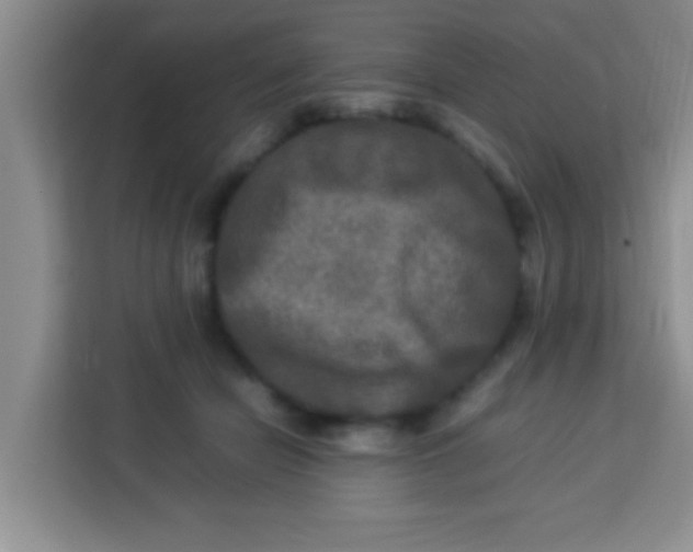 X0000113290462200910051104