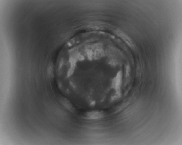 X0000113290465200910051104
