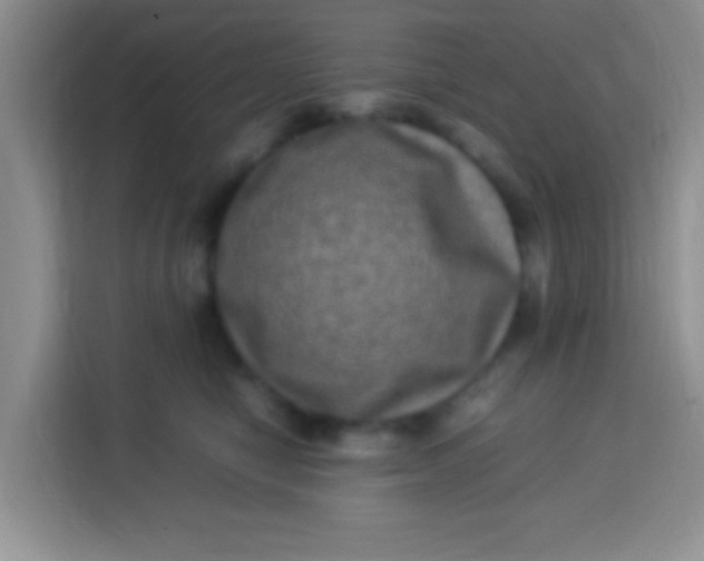 X0000113290470200910051104