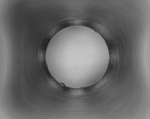 X0000113290476200910051104