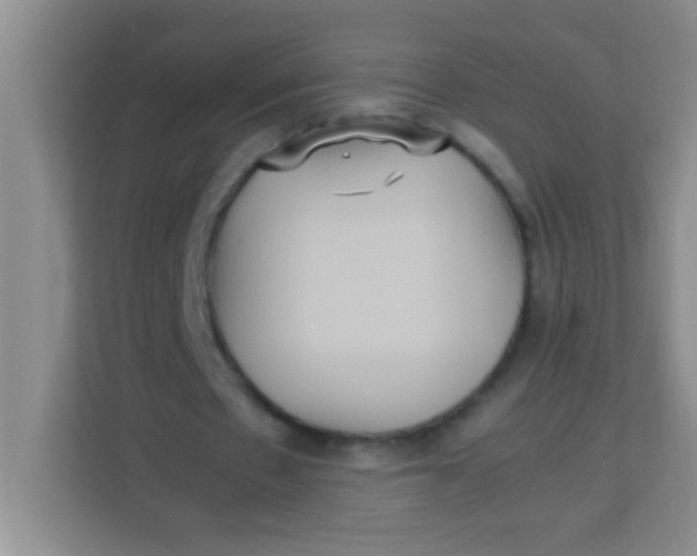 X0000113290481200910051104