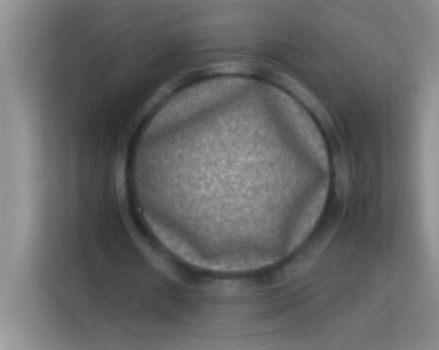 X0000113290482200910051104