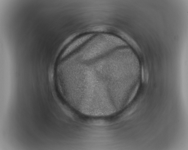 X0000113290483200910051104