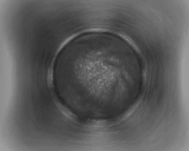 X0000113290484200910051104