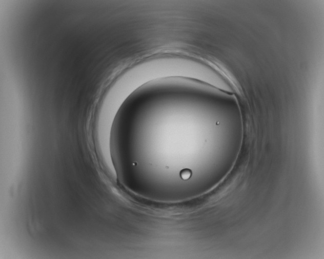 X0000113290485200910051104