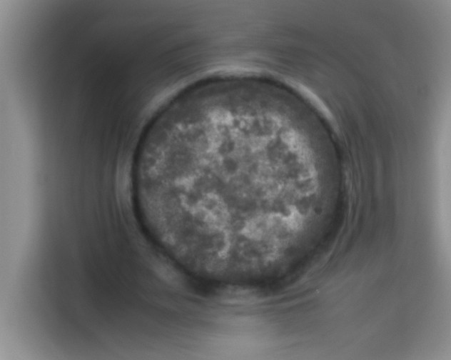 X0000113290487200910051104