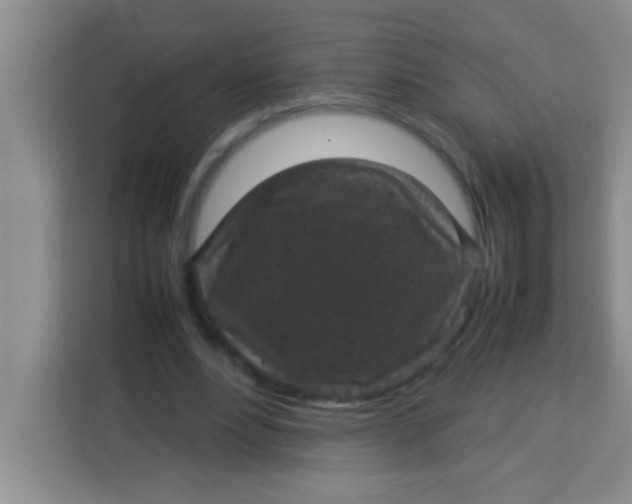 X0000113290488200910051104