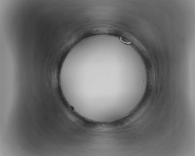 X0000113290489200910051104