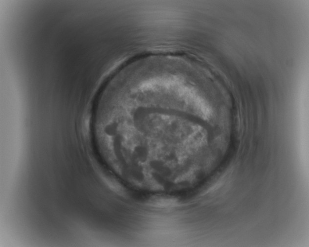 X0000113290491200910051104