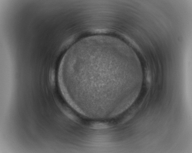 X0000113290494200910051103