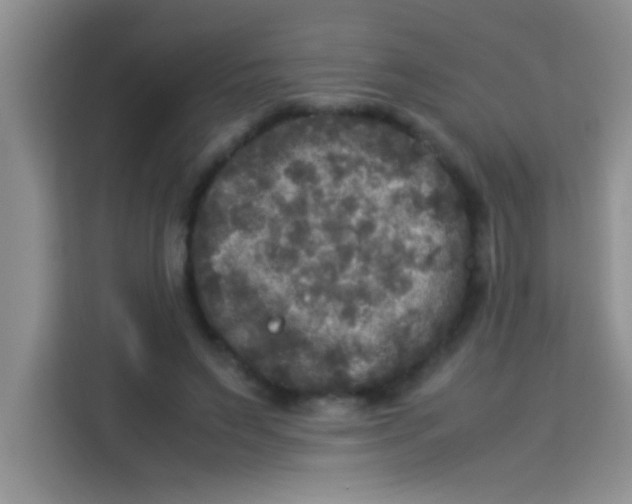 X0000113290495200910051103