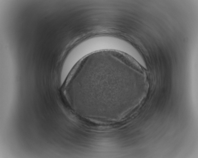 X0000113290496200910051103