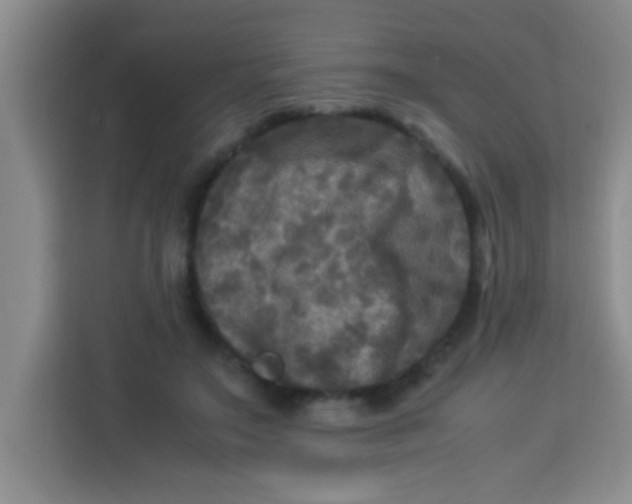 X0000113290499200910051103