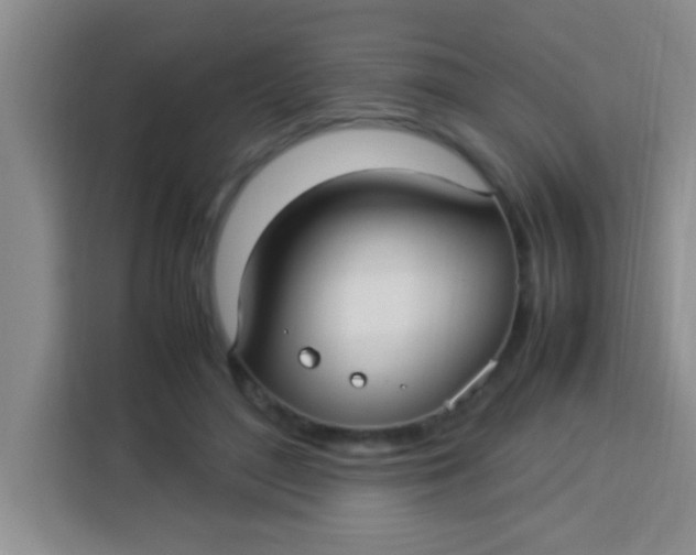 X0000113290500200910051103