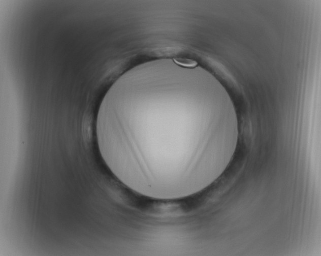 X0000113290501200910051103
