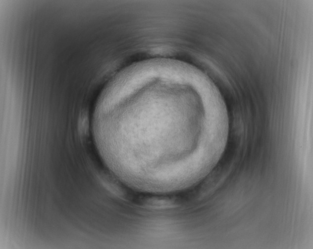 X0000113290502200910051103