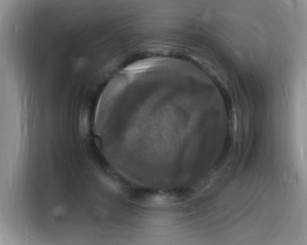 X0000113290504200910051103