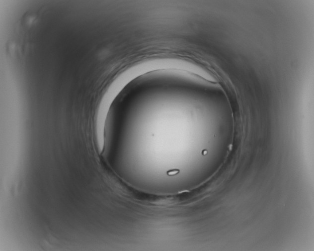 X0000113290505200910051103