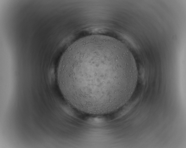 X0000113290506200910051103