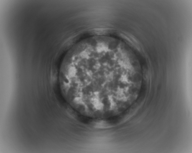 X0000113290507200910051103