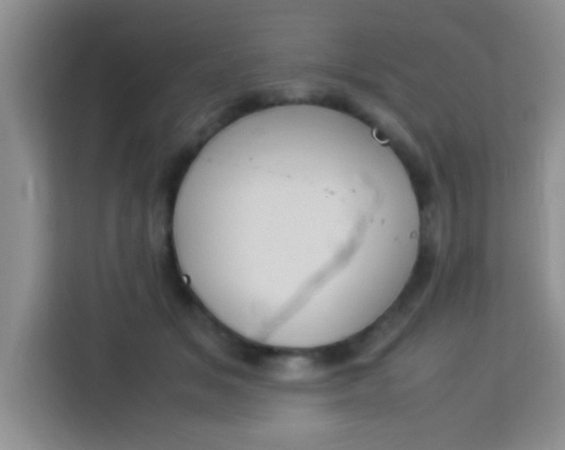 X0000113290509200910051103