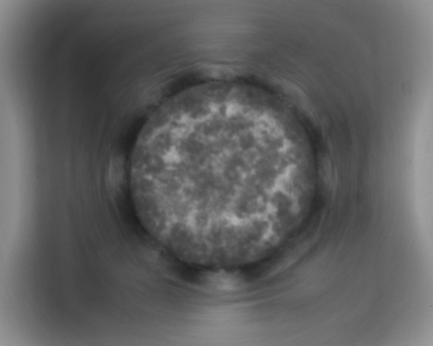 X0000113290511200910051103