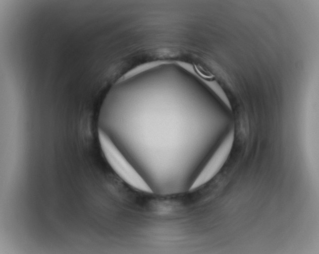 X0000113290512200910051103