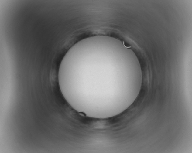 X0000113290513200910051103