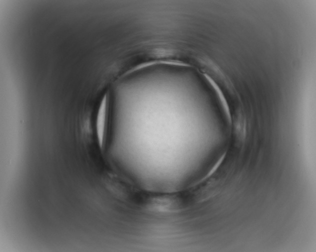 X0000113290516200910051103