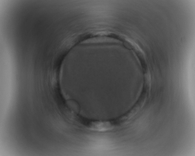 X0000113290517200910051103