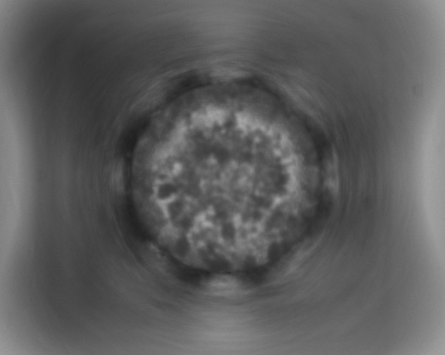 X0000113290519200910051103