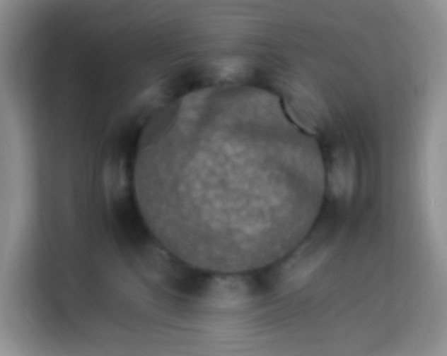 X0000113290520200910051103