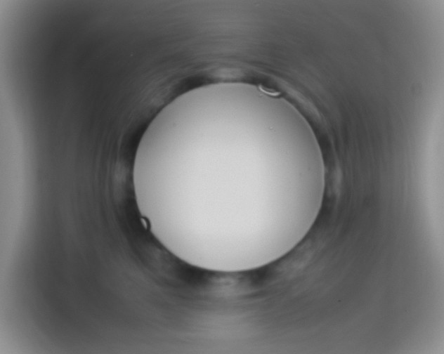 X0000113290521200910051103