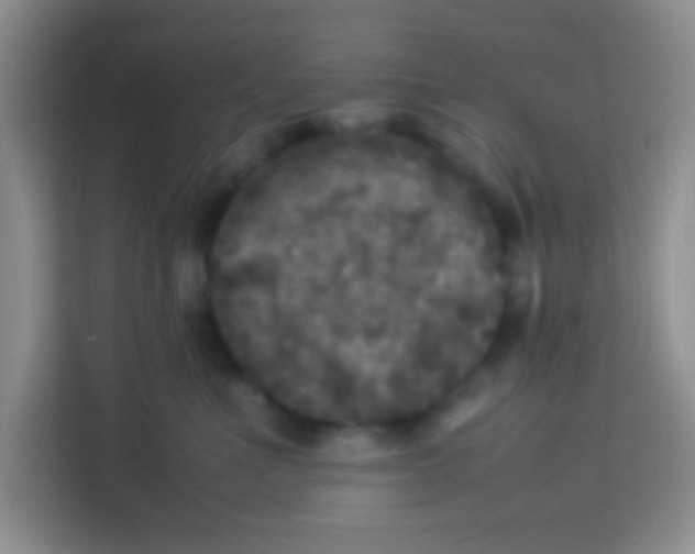X0000113290523200910051103